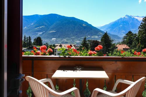 Guesthouse Pension Grafenstein - image 9