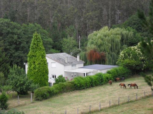 Finca El Remanso