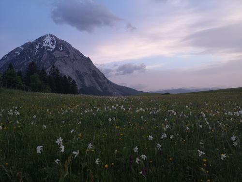 Ferienwohnung Pöreiterhof, Unterkunft in Tauplitz