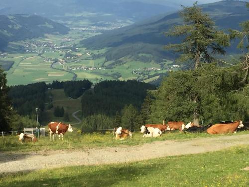 Landhaus Lungau - image 4