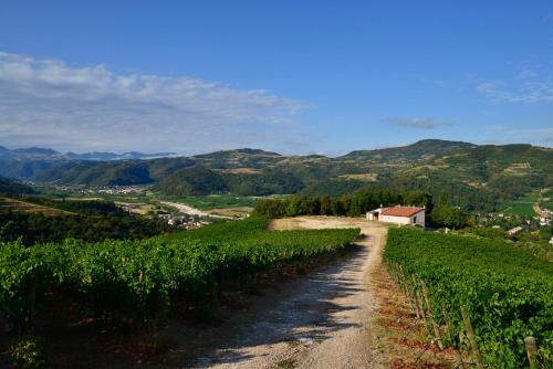 Tenuta Le Cave