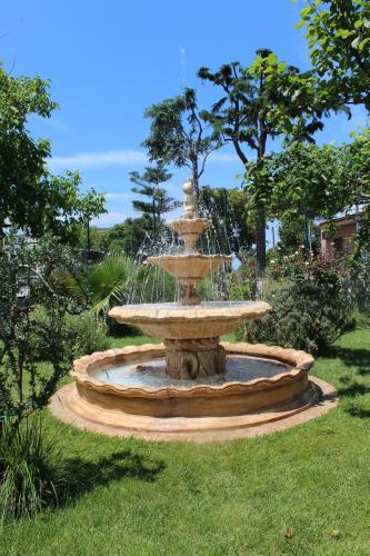 Green Garden 5
