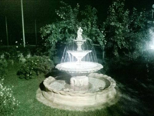 Green Garden 3