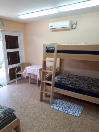 U Seckých - image 2