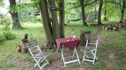 Ferienhof Zum Spreewäldchen - image 2
