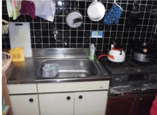 Yakushima Park Guesthouse photo