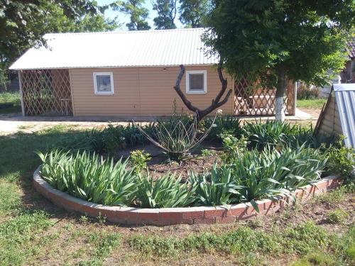 Holiday Park Kolobok - image 7