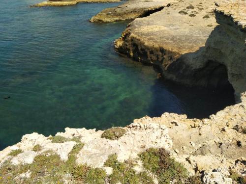 Villa del Mediterraneo