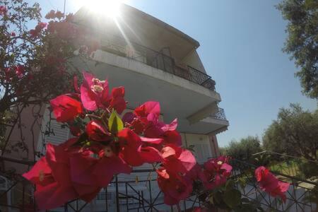  Tilemachos Apartment 1 in Arakhovítika