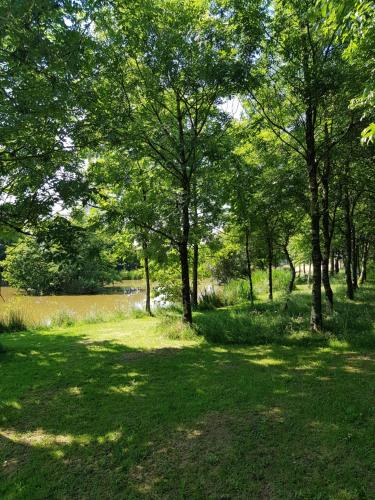 Thornbury Holiday Park - image 8