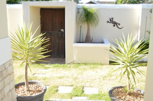 African Palm Cottage and Guesthouse