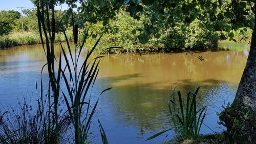 Thornbury Holiday Park - image 6