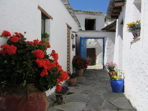  Sierra y Mar in Ferreirola