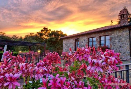  Agriturismo La Quercia in Boccheggiano