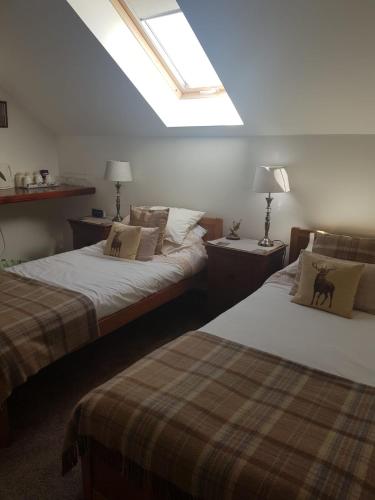 Hillhaven Bed &Breakfast Room Type - Triple Room with Bathroom