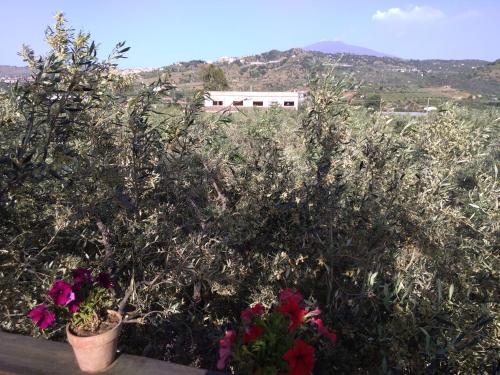 Cuntarati - Nature Tourism Simeto Etna