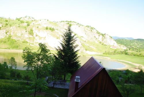 Detached house Milivoje - image 7