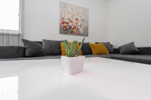 Villa Star 4 a centrally located ap. with a pool