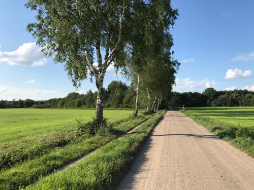 สภาพแวดล้อมโดยรอบ, Villa Oscar with sauna in Winterswijk in วินตอร์วิก