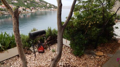  Carpe Dien in Senj