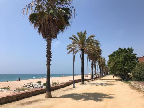 Strand, Apartamento frente al mar in Canet De Mar