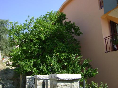 Apartments Kovačević - image 6