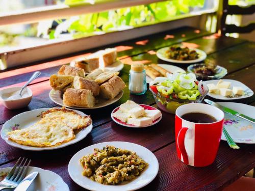 Nato & Lado in Signali