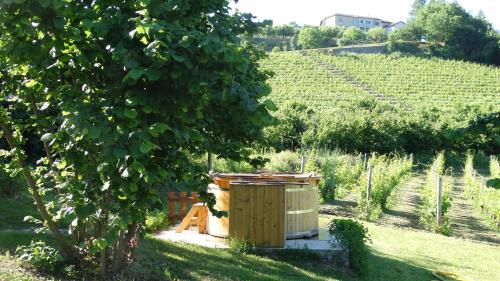  Corte di Langa in Cossano Belbo