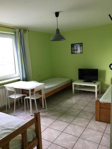 Noclegi Tulipan - image 10