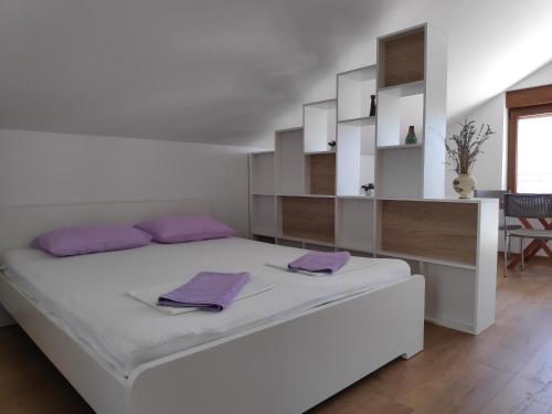 Apartman Anicic