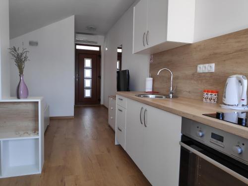 Apartman Anicic, Podaca (foto 8)