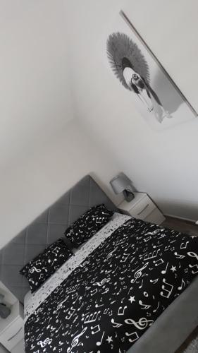 Apartmani Stijepovic - image 11