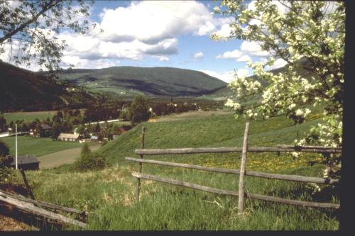 Thon Hotel Otta - image 9