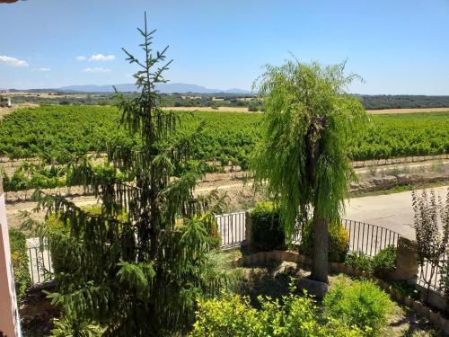 Kert, CASA el NOGAL in Aragón-Pireneusok