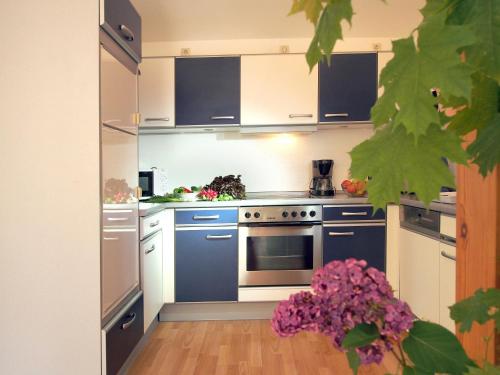 Iekārtas, Ferienwohnung am Dümmer See (Ferienwohnung am Dummer See) in Dümmer