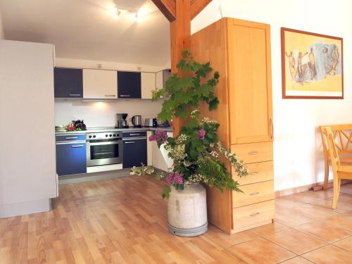 virtuve, Ferienwohnung am Dümmer See (Ferienwohnung am Dummer See) in Dümmer