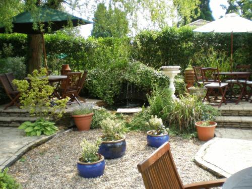 Haigs Hotel - image 11