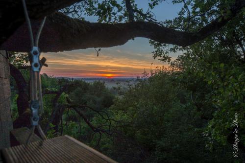Omgeving, B&B La Cabane Insolite in Mones