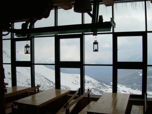 Tana Della Volpe - image 3