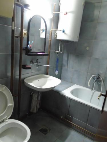 Μπάνιο, Apartment Dragica in Γκούτσα