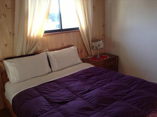 Hostal Monica – Pucon, MI