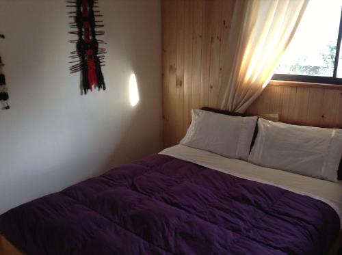 Hostal Monica – Pucon, MI