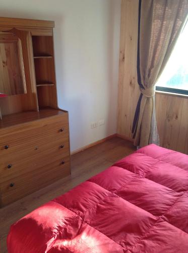 Hostal Monica – Pucon, MI