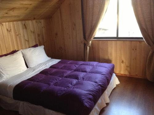 Hostal Monica – Pucon, MI