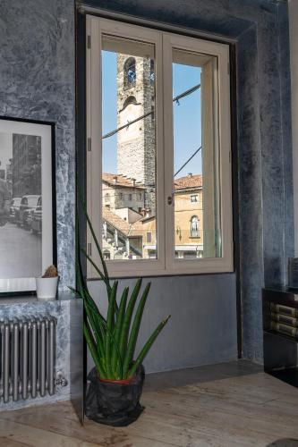 Flora Inn, Flora I - Nel cuore di Bergamo Alta, Bergamo (photo 7)