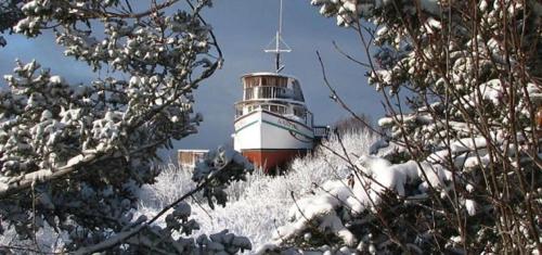 Alaska Adventure Cabins