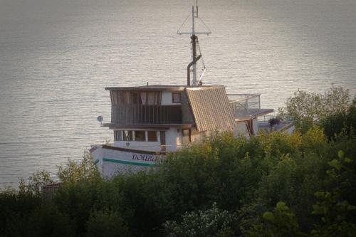 Alaska Adventure Cabins - image 2
