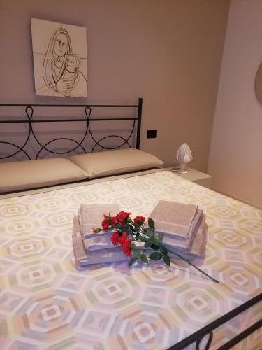 B&B Collodi
