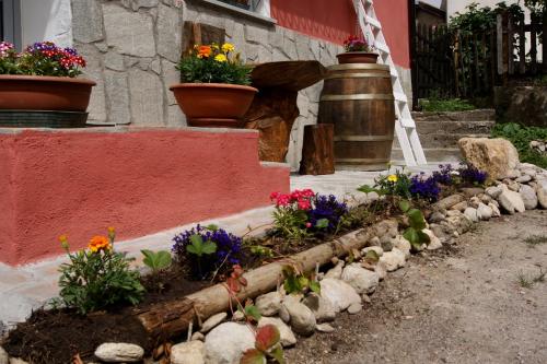 Un coccodrillo a FrAsSiNo in Calizzano