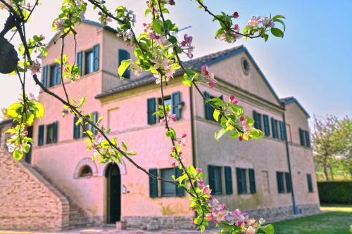  I Ciliegi, Pension in Osimo